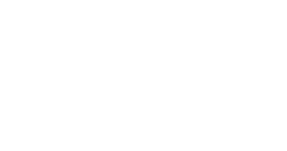 ARI LOGO